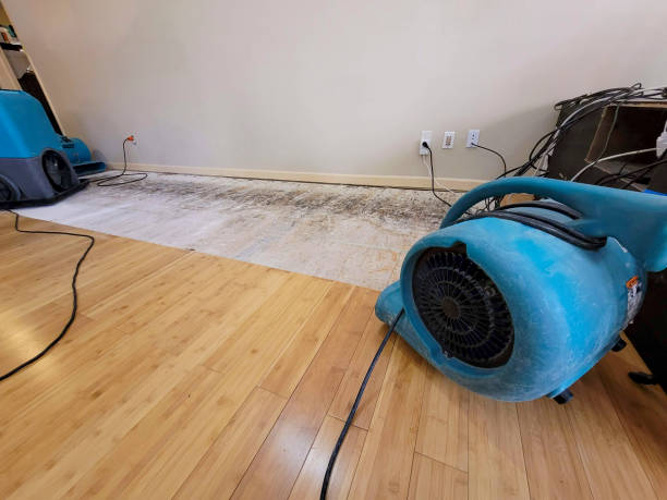Reliable Storm Water Damage Restoration contractor in Blue, AZ by Hirex Water Damage