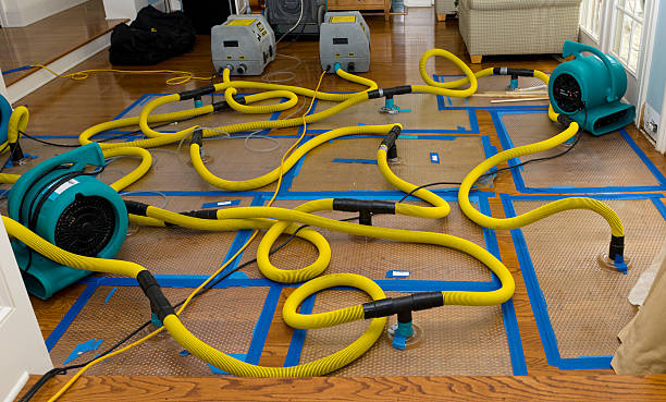 Professional Storm Water Damage Restoration technician working in Blue, AZ